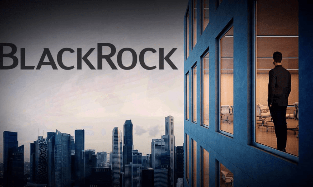 Blackrock активы. Blackrock компания. Инвестиционные компании Blackrock. Blackrock компания логотип. Blackrock книги.